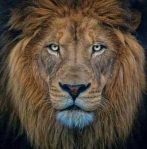 Meet your Posher, Byron